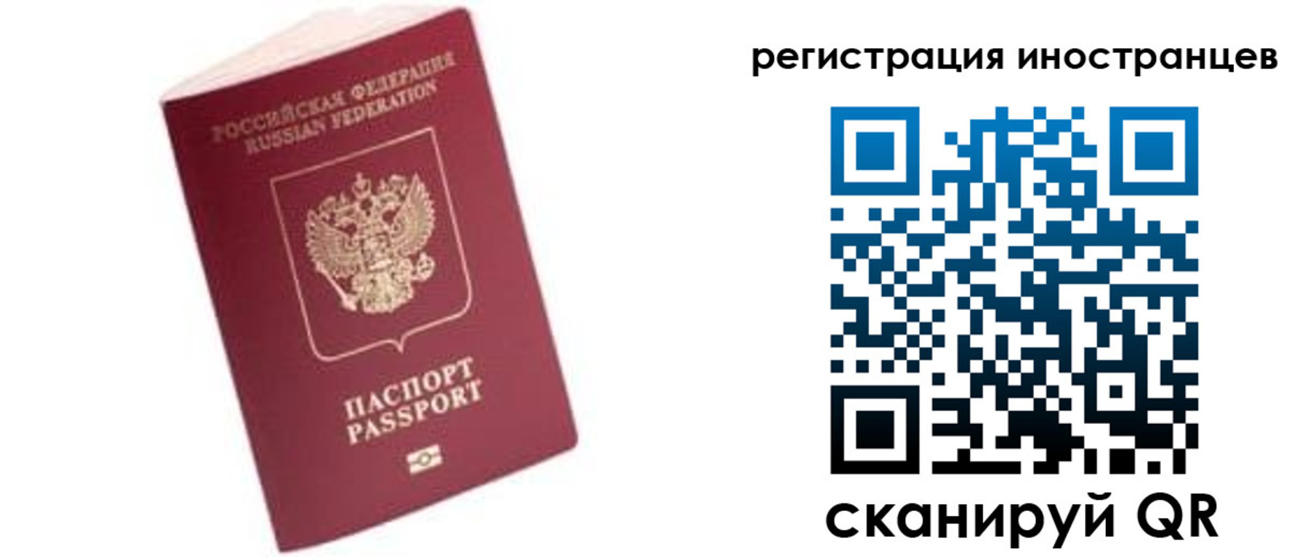 прописка гарантия в Борзе